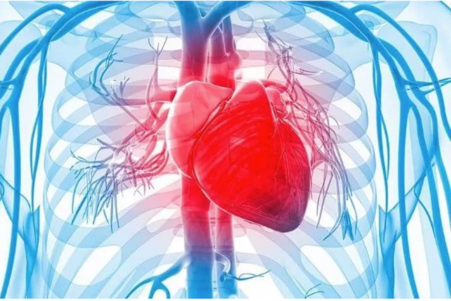 6 tazas de café al día puede incrementar el riesgo de sufrir enfermedades cardiovasculares.