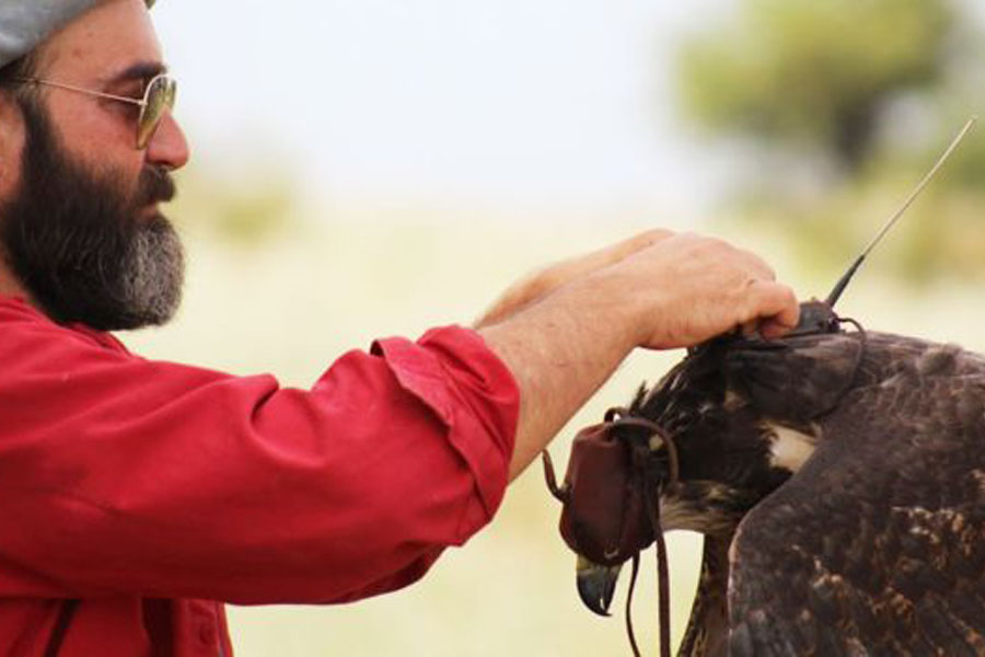 GENTILEZA JOSE SARASOLE Image caption El primer encuentro de Sarasola con un águila marcó su futuro en la conservación de especies.