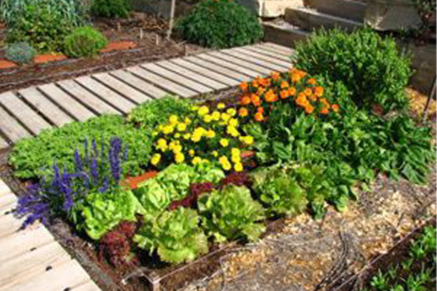 Keno y métodos de jardinería ecológica