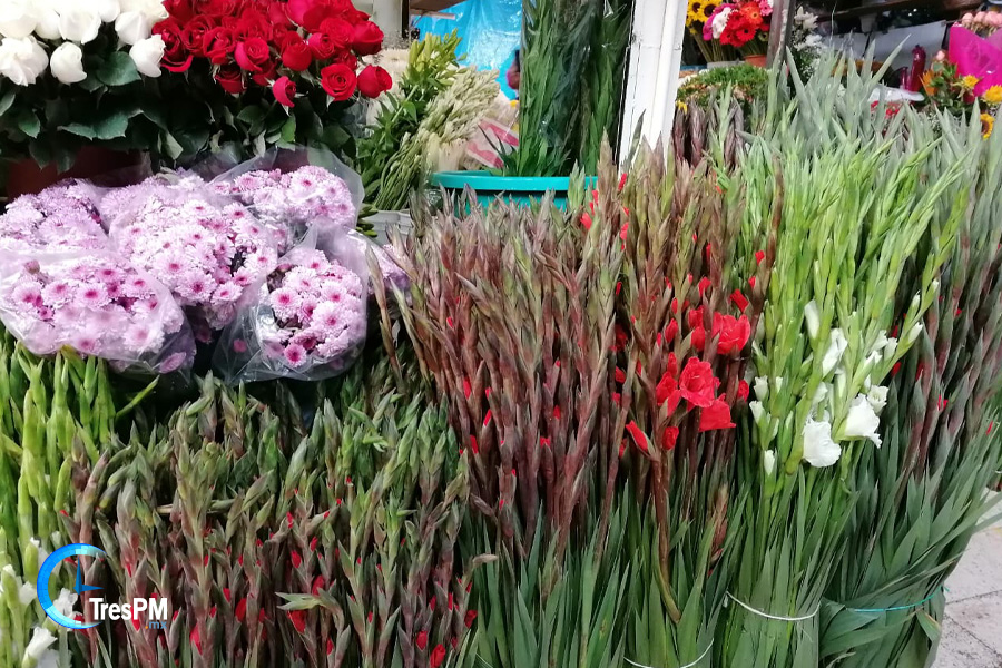 Días muertos para comerciantes de flores en el Edomex