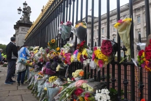 Ofrendas florales a la reina Isabel II se convertirán en composta