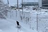 Cientos de vuelos suspendidos en Múnich por fuertes nevadas