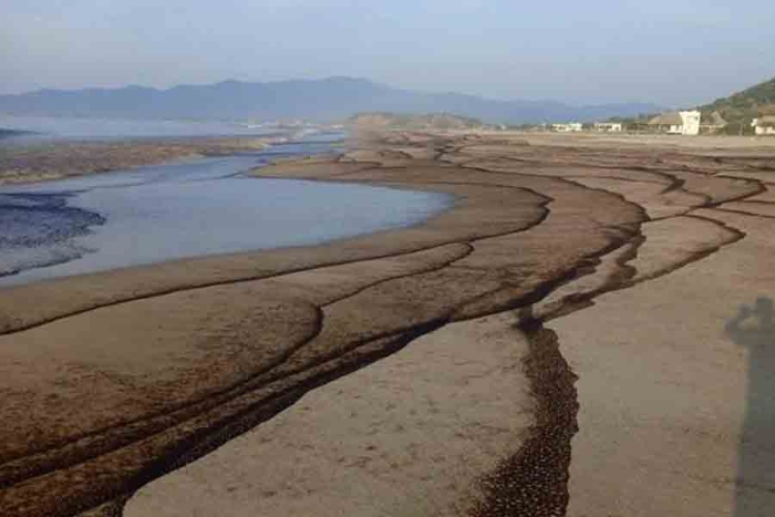 Acusan a Pemex de un derrame de petróleo en Oaxaca; playas y animales resultan afectados