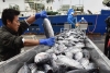 China prohíbe los productos del mar procedentes de Japón