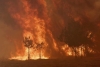 La población mundial expuesta a incendios ha aumentado un 40% en lo que va de siglo