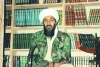 ¿Para qué tenía Bin Laden una colección de porno?