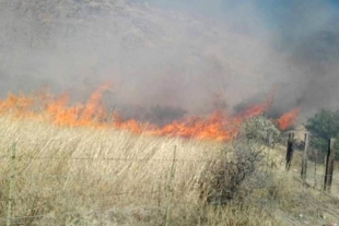 Incendio de pastizal habría provocado mega apagón