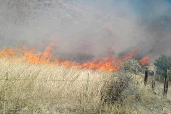 Incendio de pastizal habría provocado mega apagón