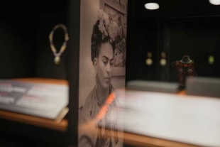 En el sótano, es posible encontrar un microscopio de Frida, el cual era utilizado para observar las alas de diferentes especies de insectos