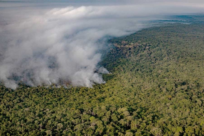 Poco a poco; deforestación en la Amazonia brasileña se redujo más del 60%