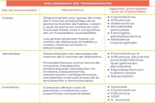 Transmisión del virus