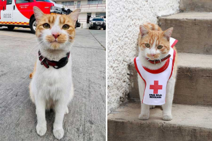 La comunidad de la Cruz Roja lo despide como se despide a los grandes: con gratitud, memoria y un nudo en la garganta.