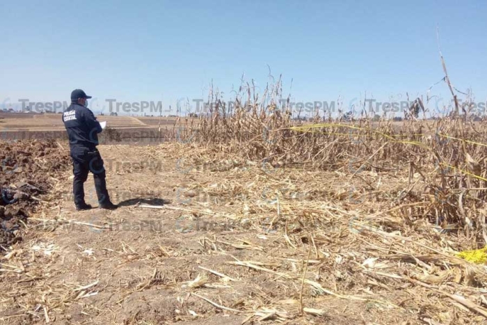 Hallan restos humanos en domicilio de Temoaya