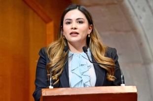 La legisladora advirtió que la falta de esta figura en el Código Penal deja en indefensión a muchas víctimas 