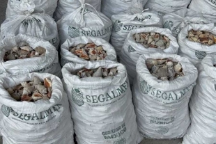 Segalmex se deslinda de cargamento de metanfetamina decomisado en Hong Kong