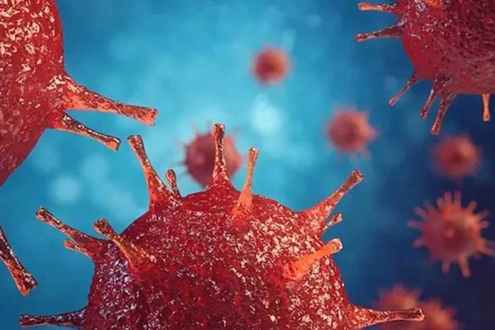 Un tercer portador de VIH logra curarse tras un trasplante de células madre
