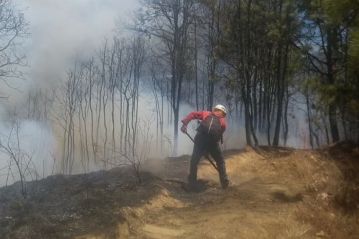 Arde el Estado de México: Más de 60 incendios en 48 horas