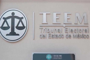 El tribunal resolvió, por mayoría de votos, que esto no configura una falta