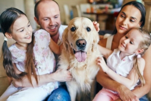 ¿Cómo aumentar la esperanza de vida de tu amigo peludo? 