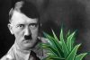 Hitler busco el “elixir de la vida” en el pulque