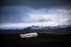 La historia del misterioso avión abandonado en Islandia