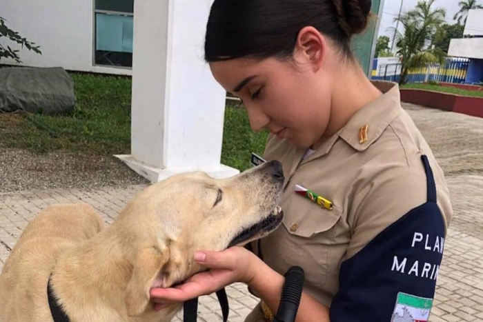 Final feliz; La Marina adopta al perrito que rescataron durante las inundaciones en Tabasco
