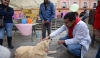 ¡Atención! UAEM anuncia nueva campaña de esterilización para mascotas