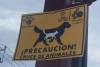 Con señalamientos, alertan sobre cruces para perros y gatos en Valle de Chalco