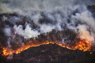 Lluvias sofocan incendios en Tamaulipas