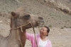 ¡Increíble! Camello viaja más de 100 kilómetros para reecontrarse con sus dueño