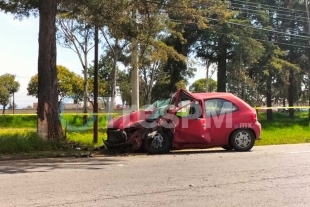 Un hombre falleció al estrellarse contra un árbol  en la Toluca- Palmillas