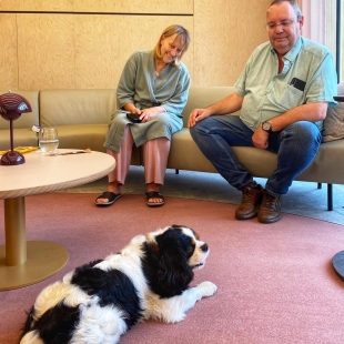 Una gran idea; hospital belga construye pabellón especial para que mascotas visiten a sus dueños