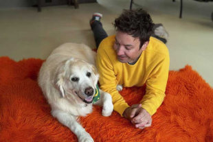 El también comediante expresó el profundo vacío que la canina dejó en el corazón de su esposa Nancy Juvonen
