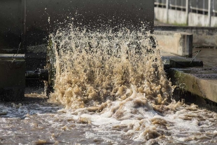 Este problema tiene su origen en factores como el uso de contaminantes y químicos emergentes en la producción agrícola