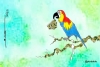 Guacamaya leaks