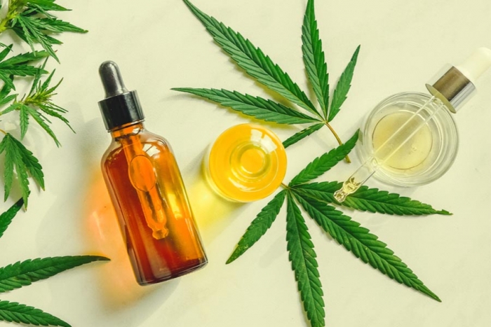 Investigan beneficios del aceite de cannabidiol para uso médico y terapéutico