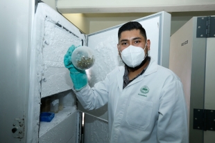 UAEMéx fortalece desarrollo científico estatal mediante su posgrado en Ciencias