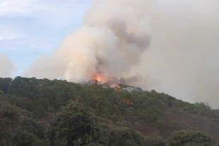 Suman tres días de incendio forestal en Mazatepec