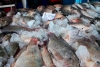 Incrementan ventas de pescados y mariscos por cuaresma