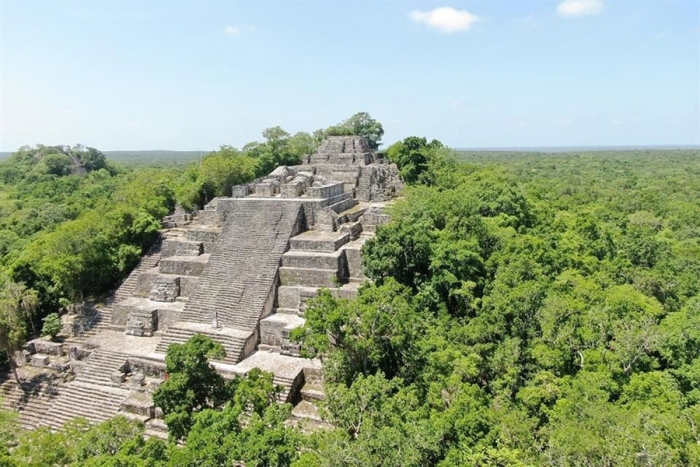 Selva Maya pierde 546 mil hectáreas