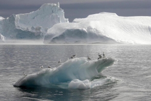 ¡Atención! El Ártico rompe nuevo récord y alcanza los 38 grados centígrados