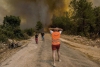 Calor extremo en sureste de Europa desencadena incendios forestales