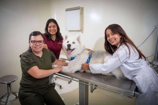 Centro Universitario Amecameca de la UAEMéx ofrece servicios médicos veterinarios de calidad