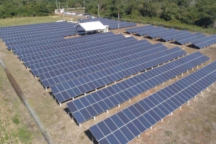 “La Pimienta”: inauguran el segundo parque solar más grande de México