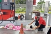 Empleado de gasolinera se vuelve viral por rescatar perritos y buscarles nuevo hogar