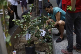 Entre los objetivos a corto y mediano plazo de esta iniciativa, destacan plantar y cuidar 20 mil árboles