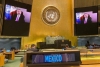 Reeligen a México para Consejo de DH en la ONU
