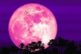 Superluna de fresa, ¿Cuándo y a qué hora verla?