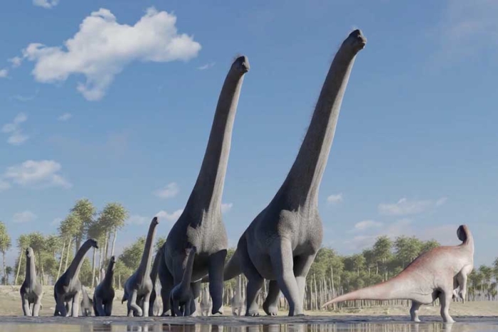 ¡fascinante! Encuentran en Bolivia una “guardería de dinosaurios”