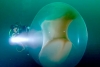 Revelan el misterio de las enormes esferas descubiertas en Noruega